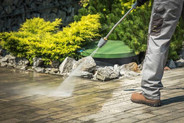 Best Dumpster Area Cleaning  in Woodlands, CA